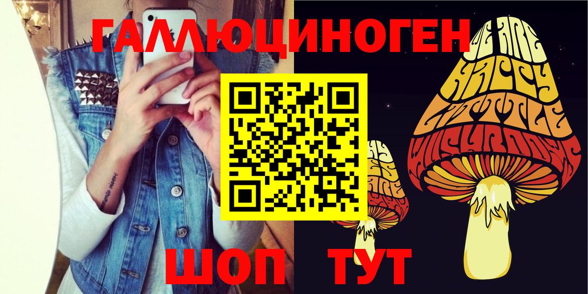 Галлюциногенные грибы Psilocybe Рыбинск